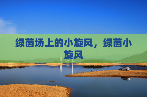 绿茵场上的小旋风，绿茵小旋风
