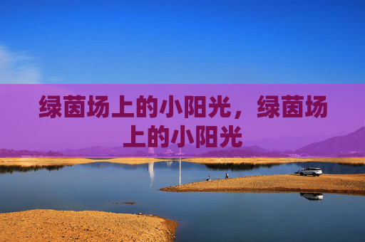 绿茵场上的小阳光，绿茵场上的小阳光