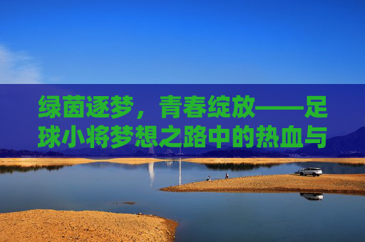 绿茵逐梦，青春绽放——足球小将梦想之路中的热血与成长，足球小将，绿茵逐梦，热血青春成长