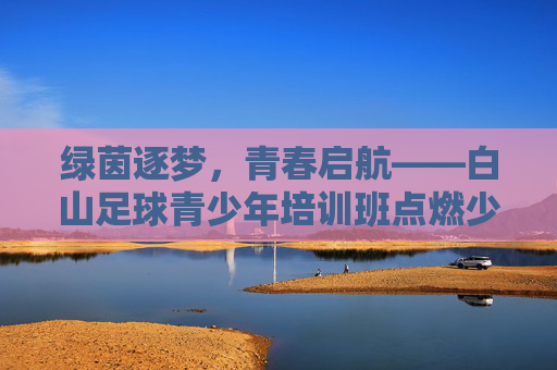 绿茵逐梦，青春启航——白山足球青少年培训班点燃少年足球热情，绿茵逐梦，青春启航——白山足球青少年培训班点燃少年足球热情
