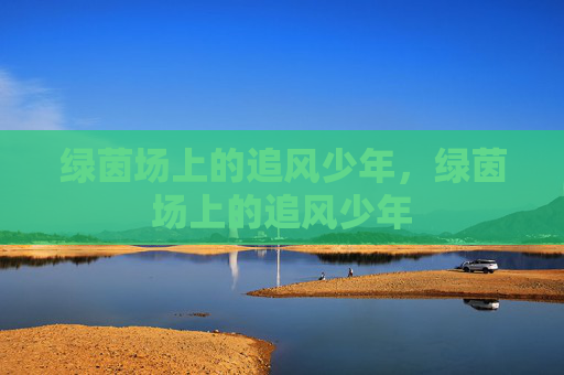 绿茵场上的追风少年，绿茵场上的追风少年