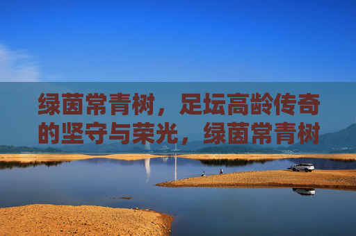 绿茵常青树，足坛高龄传奇的坚守与荣光，绿茵常青树，足坛高龄传奇的坚守与荣光