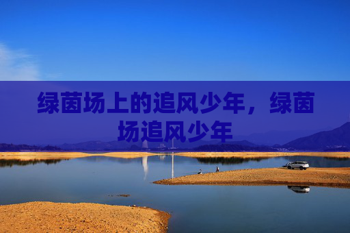 绿茵场上的追风少年，绿茵场追风少年