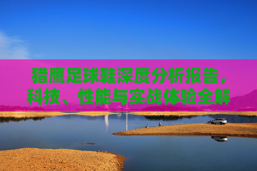 猎鹰足球鞋深度分析报告，科技、性能与实战体验全解析