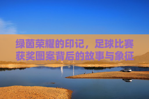 绿茵荣耀的印记，足球比赛获奖图案背后的故事与象征