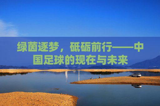 绿茵逐梦，砥砺前行——中国足球的现在与未来