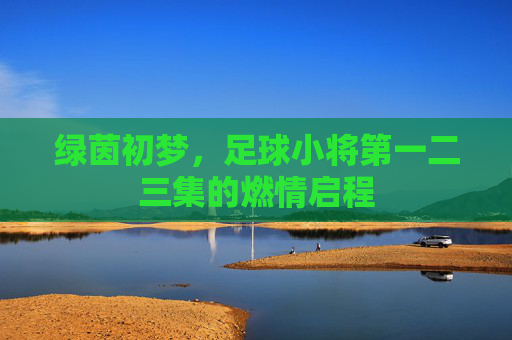 绿茵初梦，足球小将第一二三集的燃情启程