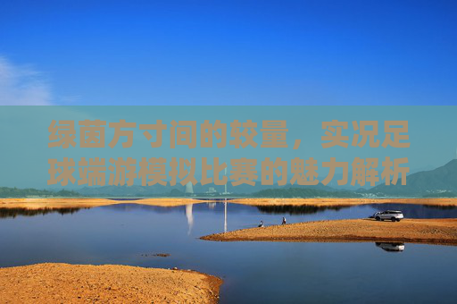 绿茵方寸间的较量，实况足球端游模拟比赛的魅力解析