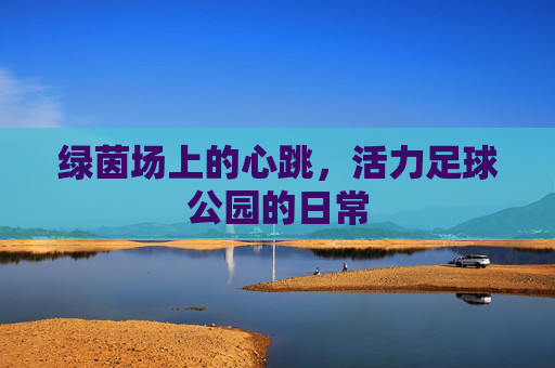 绿茵场上的心跳，活力足球公园的日常