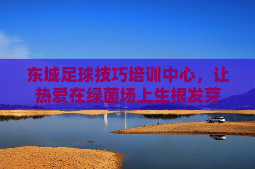 东城足球技巧培训中心，让热爱在绿茵场上生根发芽