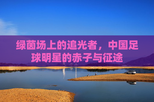 绿茵场上的追光者，中国足球明星的赤子与征途