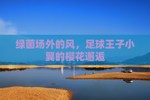 绿茵场外的风，足球王子小翼的樱花邂逅