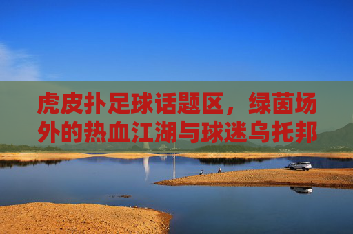 虎皮扑足球话题区，绿茵场外的热血江湖与球迷乌托邦