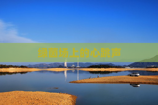 绿茵场上的心跳声