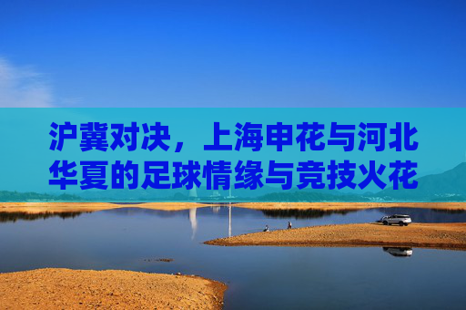 沪冀对决，上海申花与河北华夏的足球情缘与竞技火花