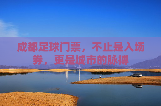 成都足球门票，不止是入场券，更是城市的脉搏