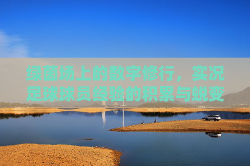 绿茵场上的数字修行，实况足球球员经验的积累与蜕变，绿茵数字修行，实况足球球员的经验蜕变