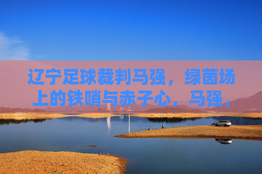 辽宁足球裁判马强，绿茵场上的铁哨与赤子心，马强，绿茵场上的铁哨与赤子心