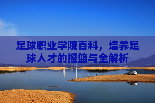 足球职业学院百科，培养足球人才的摇篮与全解析