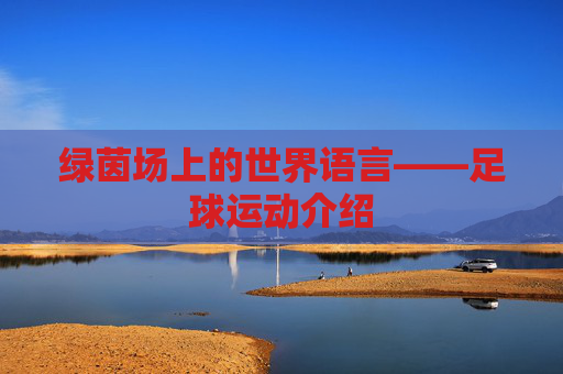 绿茵场上的世界语言——足球运动介绍