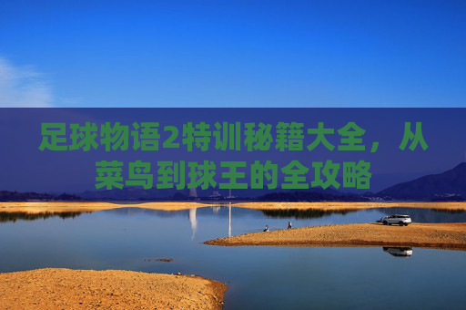 足球物语2特训秘籍大全，从菜鸟到球王的全攻略