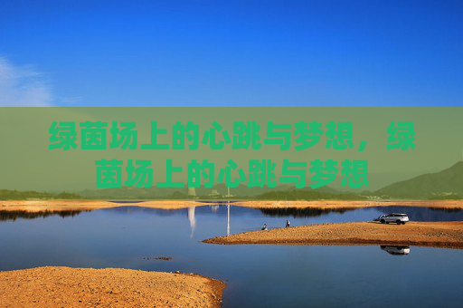 绿茵场上的心跳与梦想，绿茵场上的心跳与梦想