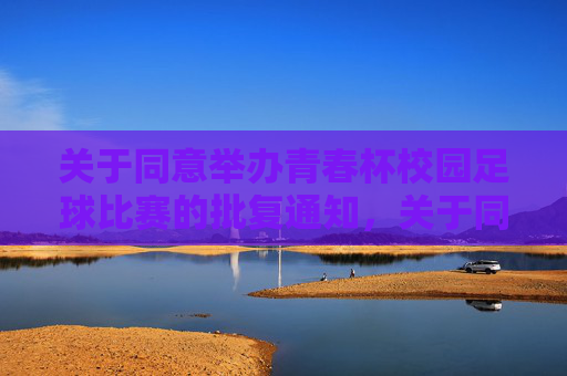 关于同意举办青春杯校园足球比赛的批复通知，关于同意举办青春杯校园足球比赛的批复通知