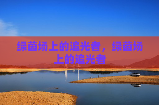 绿茵场上的追光者,绿茵场上的追光者 绿茵场上的追光者,绿茵场上的追光者