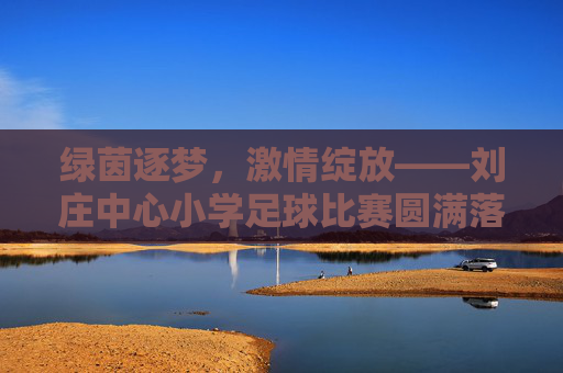 绿茵逐梦,激情绽放——刘庄中心小学足球比赛圆满落幕 绿茵逐梦,激情绽放——刘庄中心小学足球比赛圆满落幕