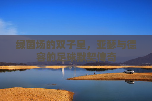 绿茵场的双子星,亚瑟与德容的足球默契传奇 绿茵场的双子星,亚瑟与德容的足球默契传奇