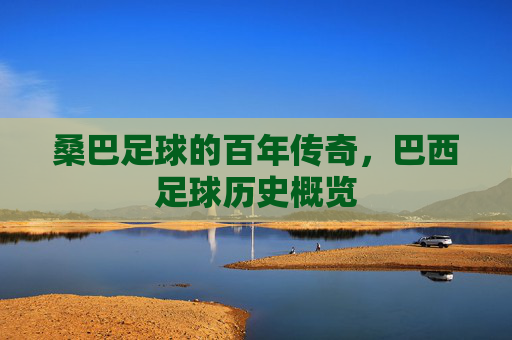 桑巴足球的百年传奇，巴西足球历史概览
