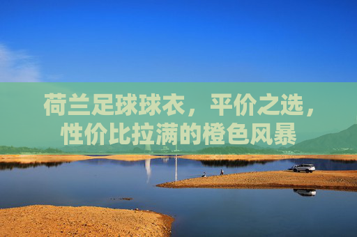 荷兰足球球衣,平价之选,性价比拉满的橙色风暴 荷兰足球球衣,平价之选,性价比拉满的橙色风暴