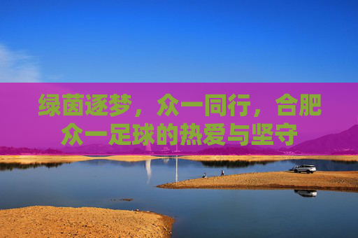 绿茵逐梦，众一同行，合肥众一足球的热爱与坚守