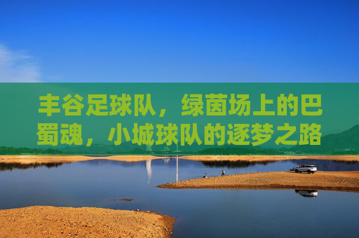 丰谷足球队，绿茵场上的巴蜀魂，小城球队的逐梦之路