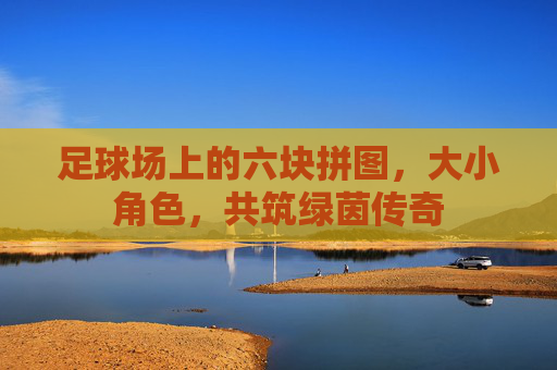 足球场上的六块拼图,大小角色,共筑绿茵传奇 足球场上的六块拼图,大小角色,共筑绿茵传奇