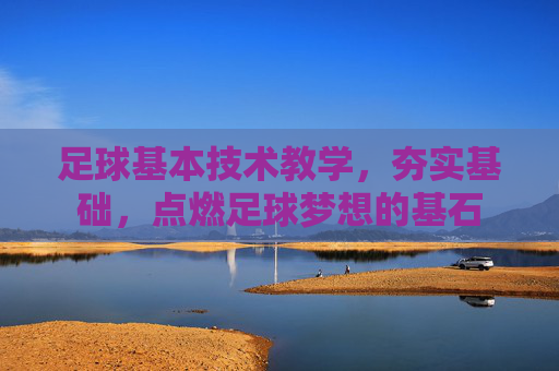 足球基本技术教学,夯实基础,点燃足球梦想的基石 足球基本技术教学,夯实基础,点燃足球梦想的基石