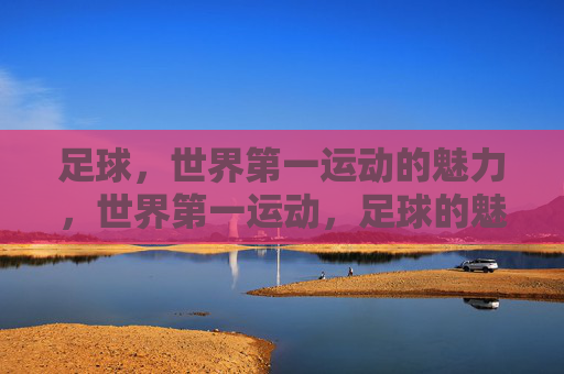 足球，世界第一运动的魅力，世界第一运动，足球的魅力