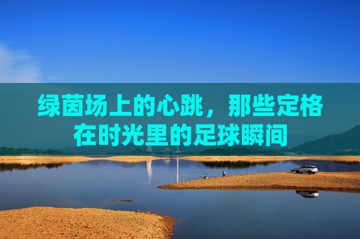绿茵场上的心跳，那些定格在时光里的足球瞬间