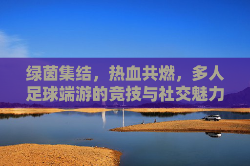 绿茵集结，热血共燃，多人足球端游的竞技与社交魅力