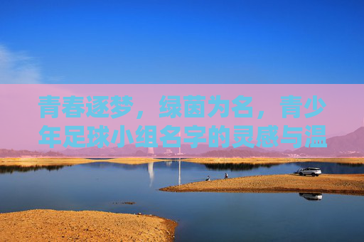 青春逐梦，绿茵为名，青少年足球小组名字的灵感与温度