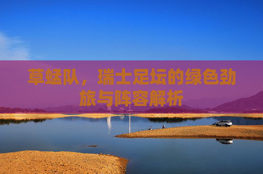 草蜢队，瑞士足坛的绿色劲旅与阵容解析