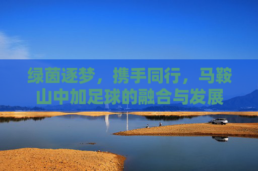 绿茵逐梦，携手同行，马鞍山中加足球的融合与发展