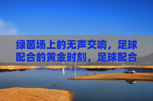 绿茵场上的无声交响,足球配合的黄金时刻,足球配合的黄金交响时刻 绿茵场上的无声交响,足球配合的黄金时刻,足球配合的黄金交响时刻