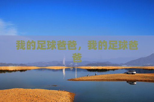 我的足球爸爸，我的足球爸爸