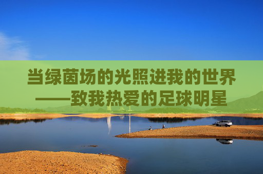 当绿茵场的光照进我的世界——致我热爱的足球明星 当绿茵场的光照进我的世界——致我热爱的足球明星