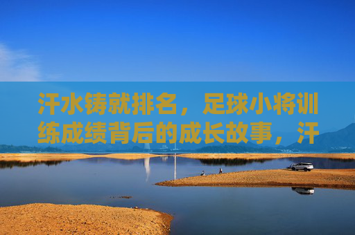 汗水铸就排名,足球小将训练成绩背后的成长故事,汗水浇灌成长,足球小将的排名之路 汗水铸就排名,足球小将训练成绩背后的成长故事,汗水浇灌成长,足球小将的排名之路