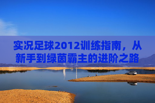 实况足球2012训练指南，从新手到绿茵霸主的进阶之路