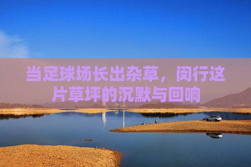 当足球场长出杂草,闵行这片草坪的沉默与回响 当足球场长出杂草,闵行这片草坪的沉默与回响