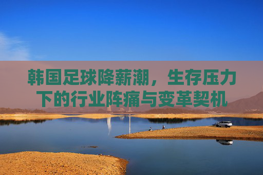 韩国足球降薪潮,生存压力下的行业阵痛与变革契机 韩国足球降薪潮,生存压力下的行业阵痛与变革契机