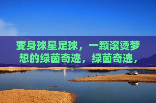 变身球星足球，一颗滚烫梦想的绿茵奇迹，绿茵奇迹，一颗滚烫的球星梦想